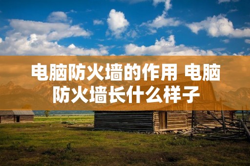 电脑防火墙的作用 电脑防火墙长什么样子 电脑防火墙的作用 电脑防火墙长什么样子