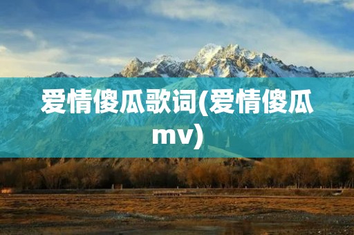 爱情傻瓜歌词(爱情傻瓜mv)