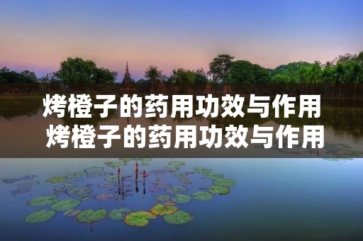 烤橙子的药用功效与作用 烤橙子的药用功效与作用及禁忌