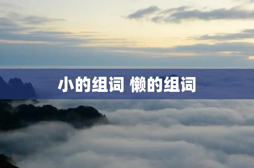 小的组词 懒的组词