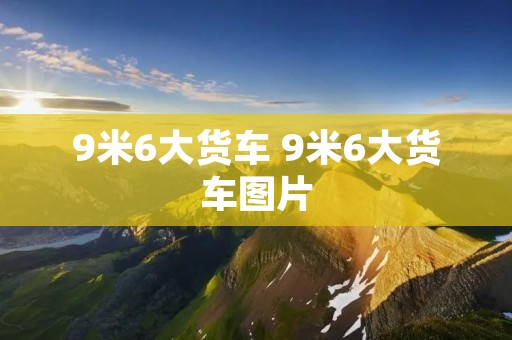 9米6大货车 9米6大货车图片
