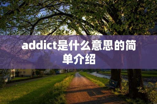 addict是什么意思的简单介绍