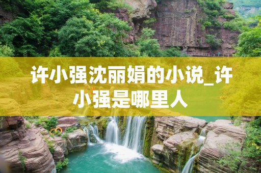 许小强沈丽娟的小说_许小强是哪里人