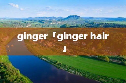 ginger「ginger hair」