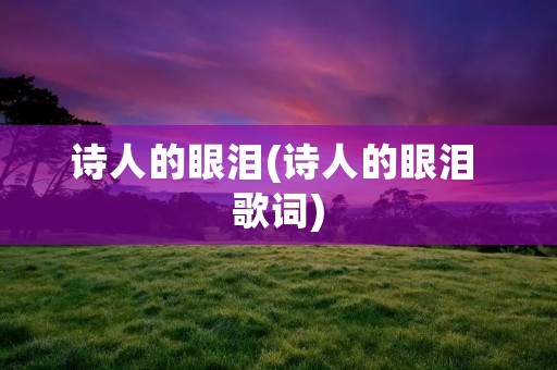 诗人的眼泪(诗人的眼泪 歌词)