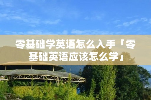 零基础学英语怎么入手「零基础英语应该怎么学」