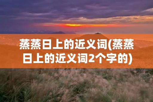 蒸蒸日上的近义词(蒸蒸日上的近义词2个字的)
