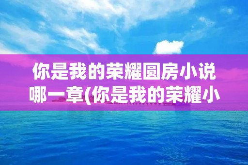 你是我的荣耀圆房小说哪一章(你是我的荣耀小说船戏第几章)