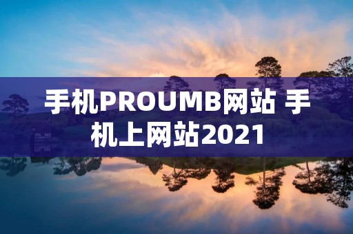 手机PROUMB网站 手机上网站2021