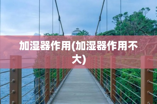 加湿器作用(加湿器作用不大)