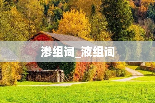 渗组词_液组词