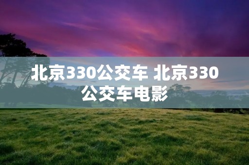 北京330公交车 北京330公交车电影