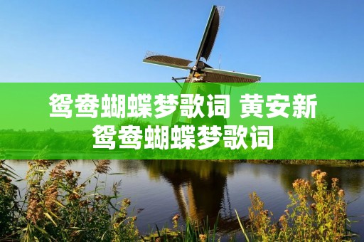 鸳鸯蝴蝶梦歌词 黄安新鸳鸯蝴蝶梦歌词