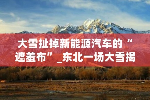 大雪扯掉新能源汽车的“遮羞布”_东北一场大雪揭开了新能源汽车的遮羞布