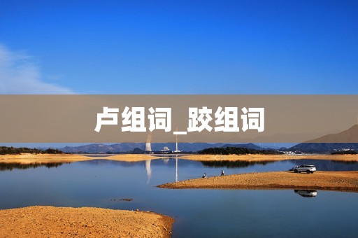卢组词_跤组词