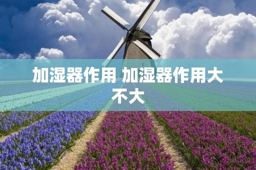 加湿器作用 加湿器作用大不大
