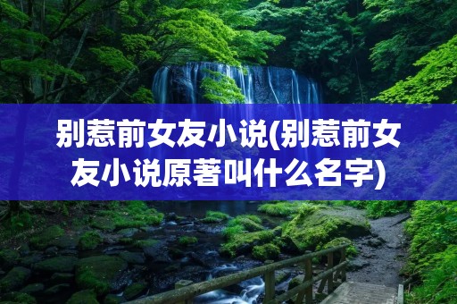 别惹前女友小说(别惹前女友小说原著叫什么名字)