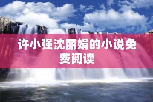 许小强沈丽娟的小说免费阅读