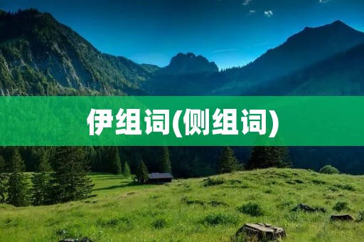 伊组词(侧组词)