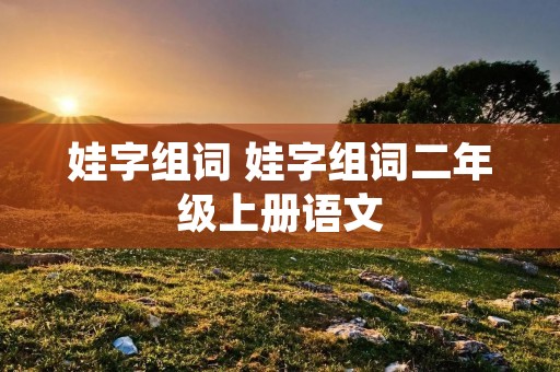 娃字组词 娃字组词二年级上册语文
