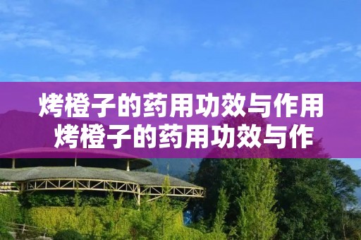 烤橙子的药用功效与作用 烤橙子的药用功效与作用是什么