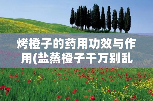 烤橙子的药用功效与作用(盐蒸橙子千万别乱吃)