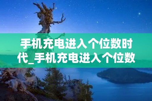 手机充电进入个位数时代_手机充电进入个位数时代0