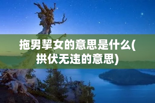 拖男挈女的意思是什么(拱伏无违的意思)