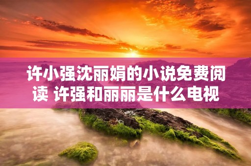 许小强沈丽娟的小说免费阅读 许强和丽丽是什么电视