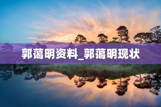 郭蔼明资料_郭蔼明现状