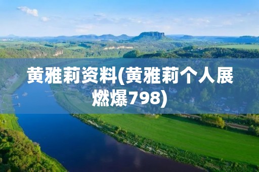黄雅莉资料(黄雅莉个人展燃爆798)