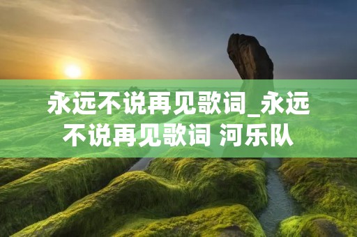 永远不说再见歌词_永远不说再见歌词 河乐队