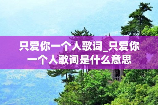 只爱你一个人歌词_只爱你一个人歌词是什么意思