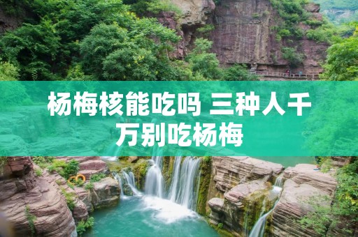 杨梅核能吃吗 三种人千万别吃杨梅