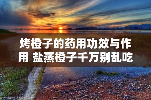 烤橙子的药用功效与作用 盐蒸橙子千万别乱吃