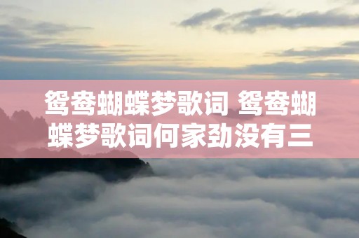 鸳鸯蝴蝶梦歌词 鸳鸯蝴蝶梦歌词何家劲没有三分爱意在
