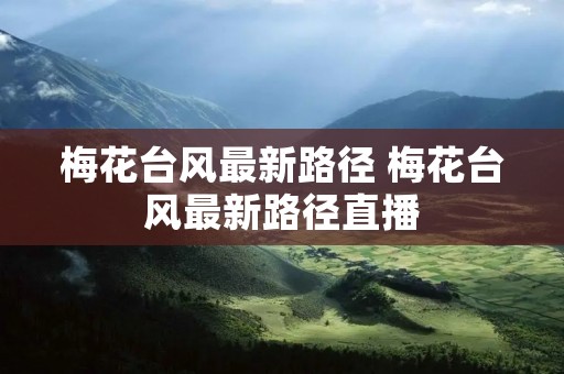 梅花台风最新路径 梅花台风最新路径直播 梅花台风最新路径 梅花台风最新路径直播