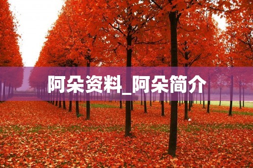 阿朵资料_阿朵简介