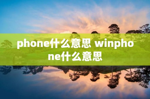 phone什么意思 winphone什么意思