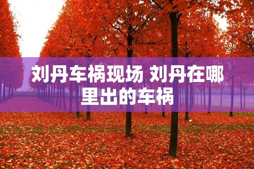 刘丹车祸现场 刘丹在哪里出的车祸