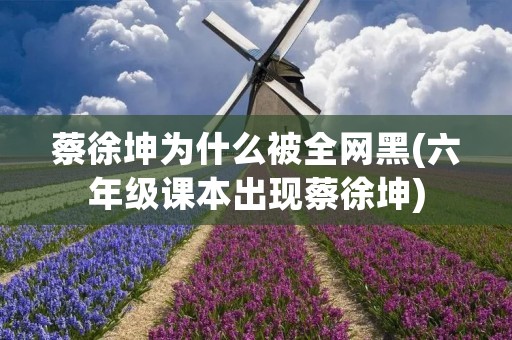 蔡徐坤为什么被全网黑(六年级课本出现蔡徐坤)