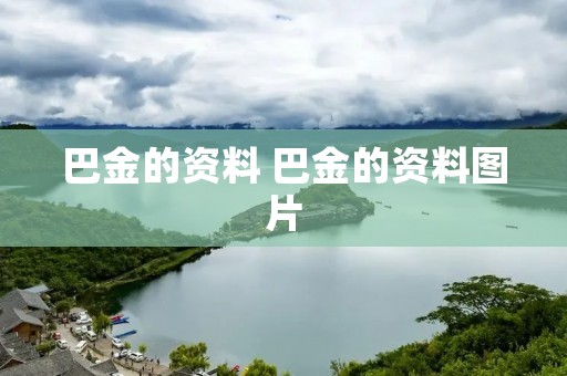 巴金的资料 巴金的资料图片
