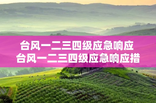 台风一二三四级应急响应 台风一二三四级应急响应措施