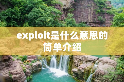 exploit是什么意思的简单介绍