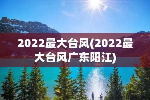 2022最大台风(2022最大台风广东阳江)