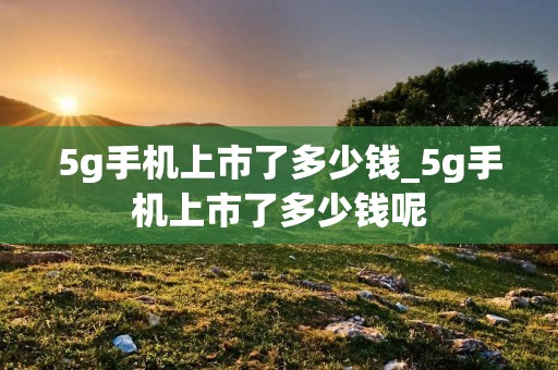 5g手机上市了多少钱_5g手机上市了多少钱呢