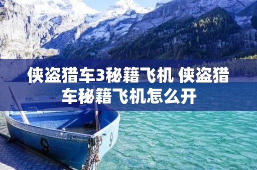 侠盗猎车3秘籍飞机 侠盗猎车秘籍飞机怎么开