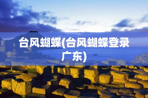 台风蝴蝶(台风蝴蝶登录广东)