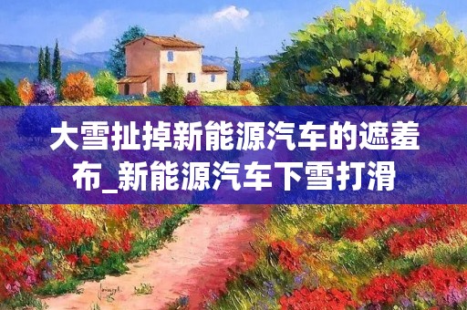 大雪扯掉新能源汽车的遮羞布_新能源汽车下雪打滑