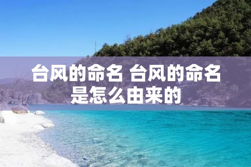 台风的命名 台风的命名是怎么由来的